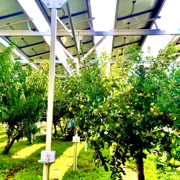 確実な収穫と発電を